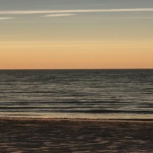 Meet your Posher, Nora